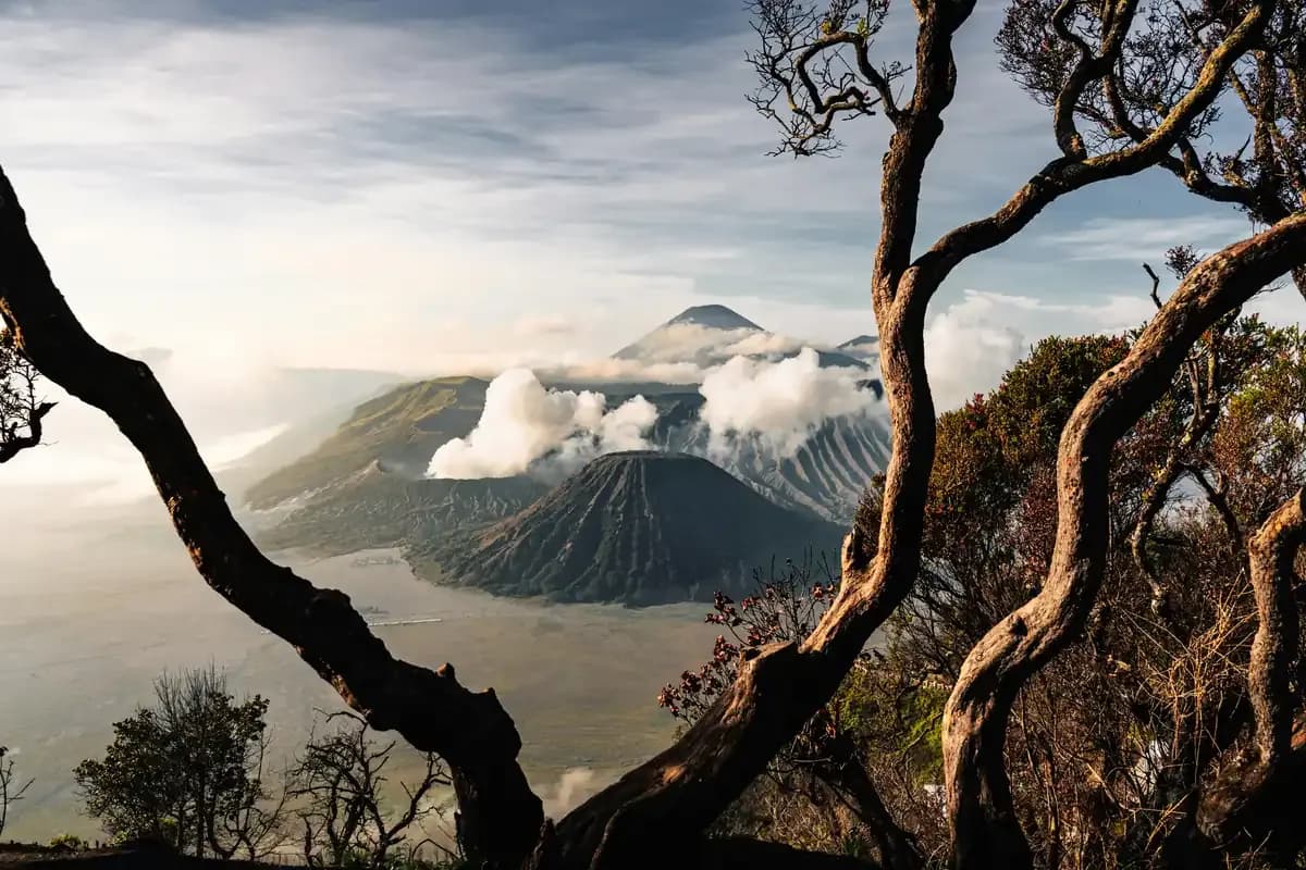 Volcanic peaks and a steaming crater seen through bare, twisted trees