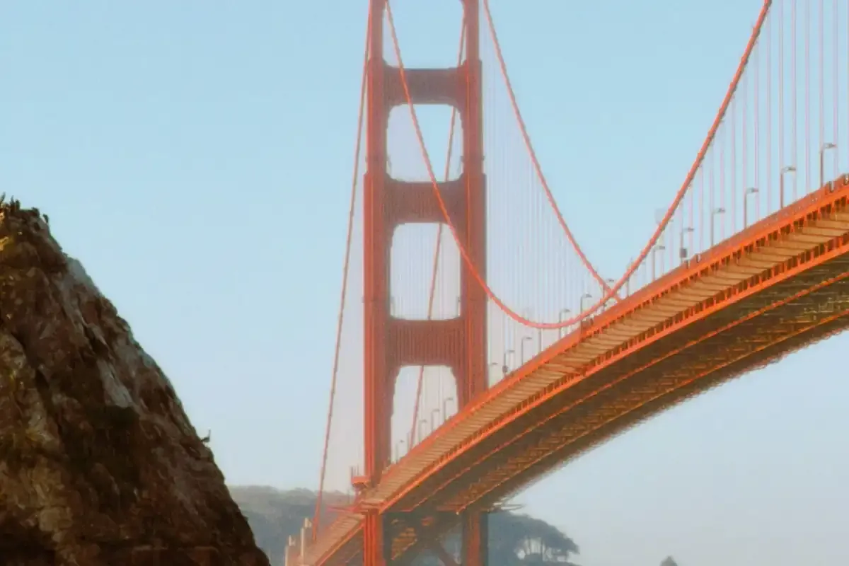 A red suspension bridge disappearing into coastal fog