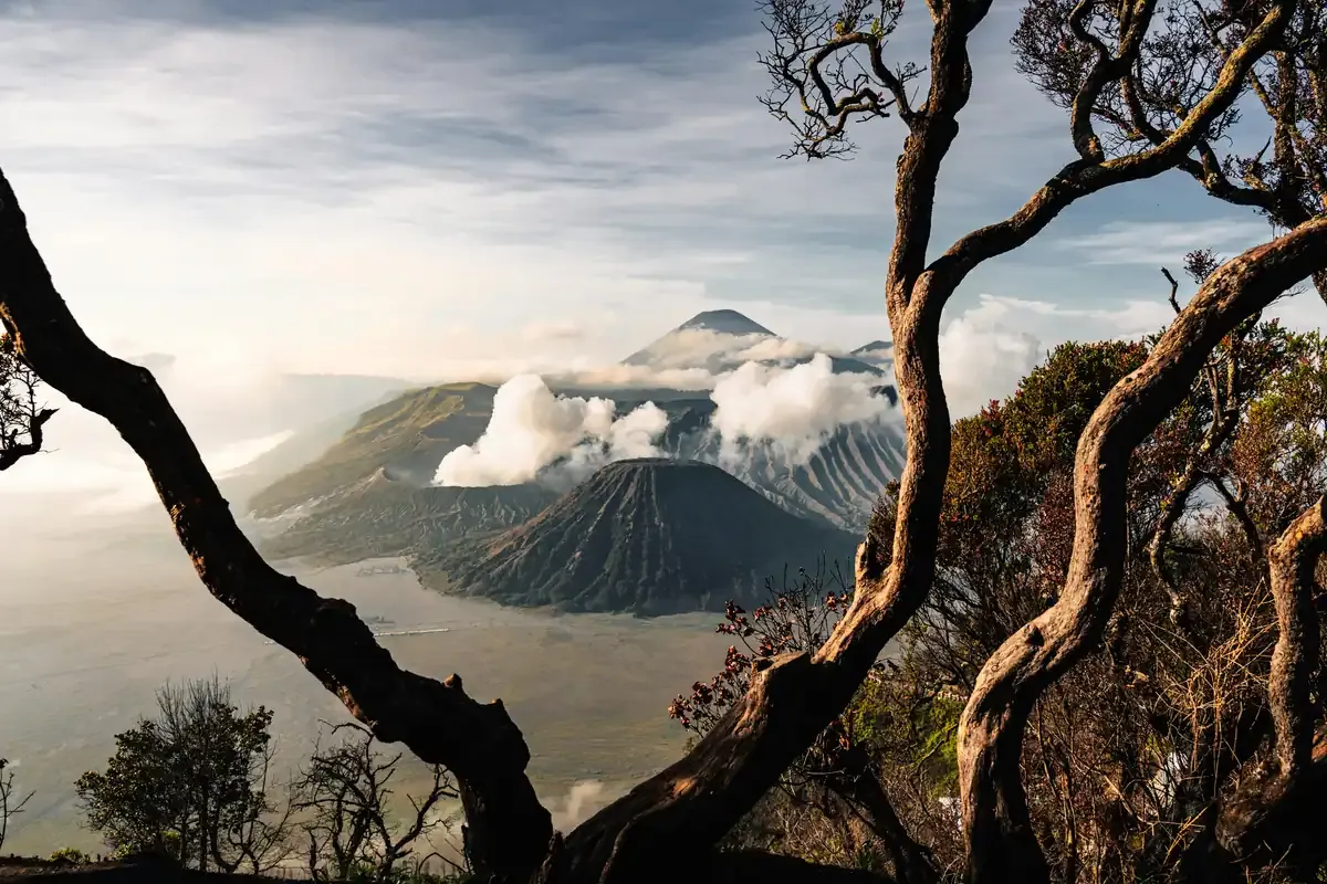 Volcanic peaks and a steaming crater seen through bare, twisted trees
